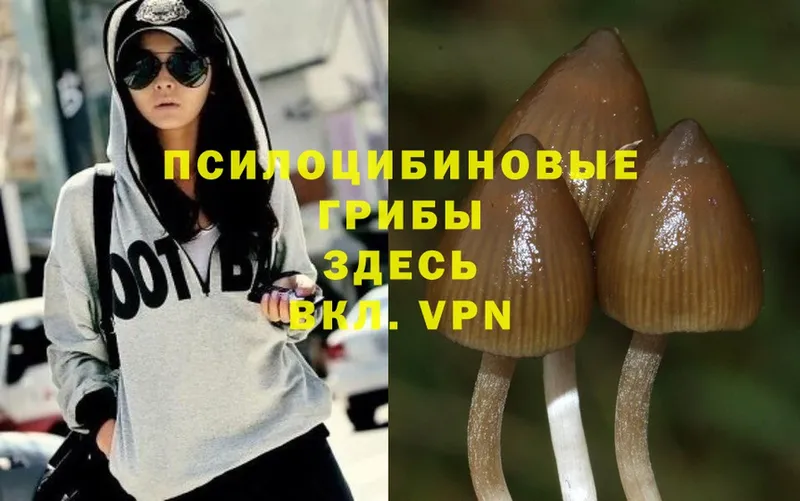 Псилоцибиновые грибы Magic Shrooms  Баксан 